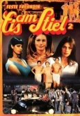 Постер Горячая жевательная резинка 2: Постоянная подружка (1979)