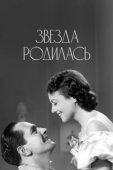 Постер Звезда родилась (1954)