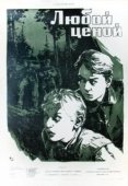 Постер Любой ценой (1959)