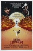 Постер Последний дракон (1985)