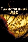 Постер Таинственный лес  (2004)