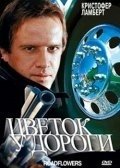 Постер Цветок у дороги (1993)