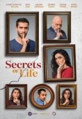 Постер Секреты Жизни (2017)
