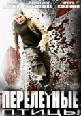 Постер Перелётные птицы (2014)