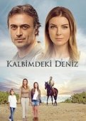 Постер Дениз в моём сердце (2016)