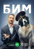 Постер БИМ (2021)