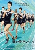 Постер Почувствуй ветер (2018)