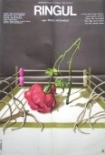 Постер Жестокий ринг (2013)