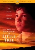 Постер Приключения маленького индейца (1997)