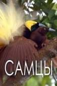 Постер Самцы (2019)