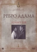 Постер Ребро Адама (1990)