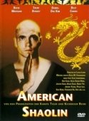 Постер Американский Шаолинь (1991)