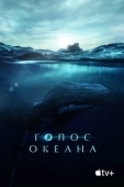 Постер Голос Океана (2021)