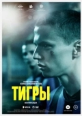Постер Тигры  (2020)