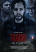 Постер Дневники полтергейста  (2021)