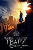 Постер Фантастические твари и где они обитают (2016)