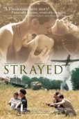 Постер Заблудившиеся (2003)