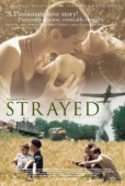 Постер Заблудившиеся (2003)