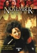 Постер Ноябрьская луна (1984)