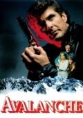 Постер Лавина (2001)