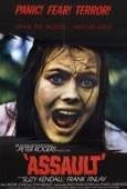 Постер Нападение (1971)