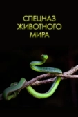 Постер Спецназ животного мира (2018)