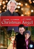 Постер Ангел Рождества (2009)