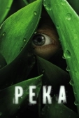 Постер Река (2012)
