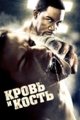 Постер Кровь и кость (2009)
