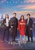 Постер Аварийная посадка любви (2019)
