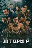 Постер Шторм P (2019)
