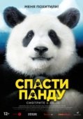 Постер Спасти панду (2020)