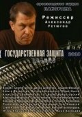 Постер Государственная защита (2010)