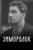 Постер Зимородок (1972)