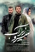 Постер Кипарис под водой (2018)