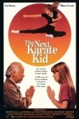 Постер Парень каратист 4 (1994)