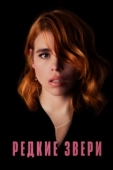 Постер Редкие звери (2019)