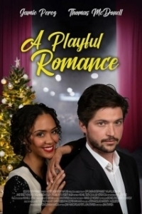Постер Звездное рождество (A Playful Romance)