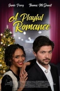 Постер Звездное рождество (A Playful Romance)