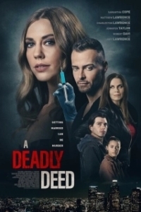 Постер Тайный брат моего мужа (A Deadly Deed)