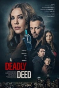 Постер Тайный брат моего мужа (A Deadly Deed)