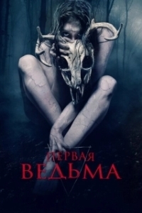 Постер Первая ведьма (The Wretched)