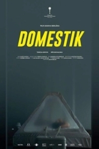 Постер Домашний режим (Domestik)