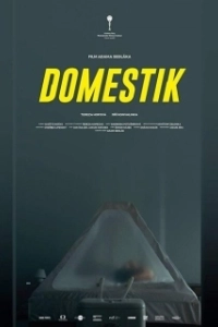 Постер Домашний режим (Domestik)