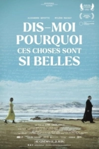 Постер Скажи мне, почему это так прекрасно (Dis-moi pourquoi ces choses sont si belles)