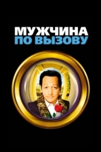Постер Мужчина по вызову (Deuce Bigalow: Male Gigolo)