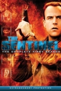 Постер Часовой (Last Sentinel)