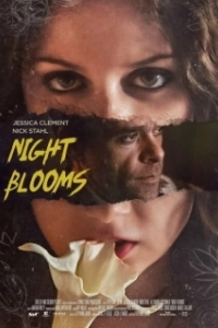 Постер Цветы ночи (Night Blooms)