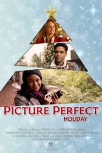 Постер Фотография идеального праздника (A Picture Perfect Holiday)