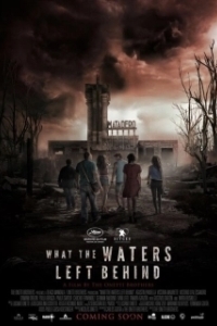 Постер Что воды оставили позади (What the water left behind)